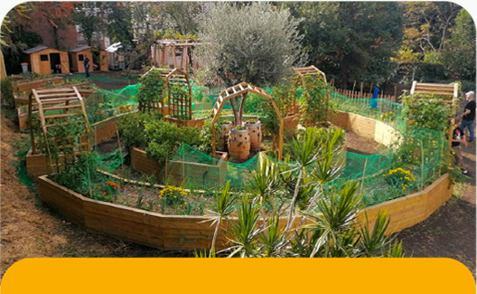 El nostre Jardí Fènix de Pedralbes