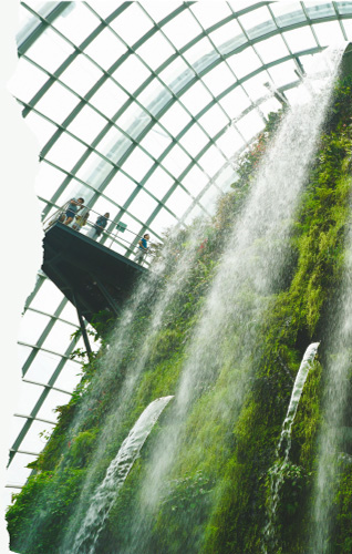 Zonas de horticultura del proyecto Green For Good