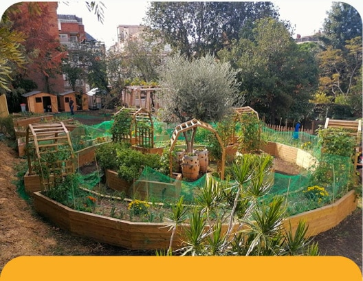 El nostre Jardí Fènix de Pedralbes