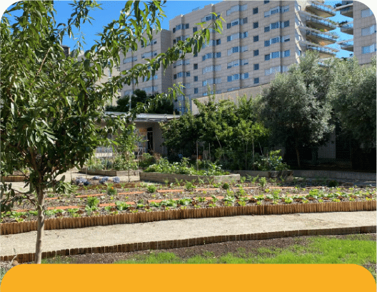 El nostre Jardí Fènix de Pedralbes