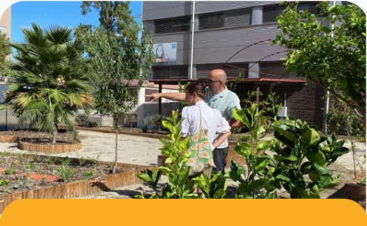El nostre hort urbà de Sant Martí
