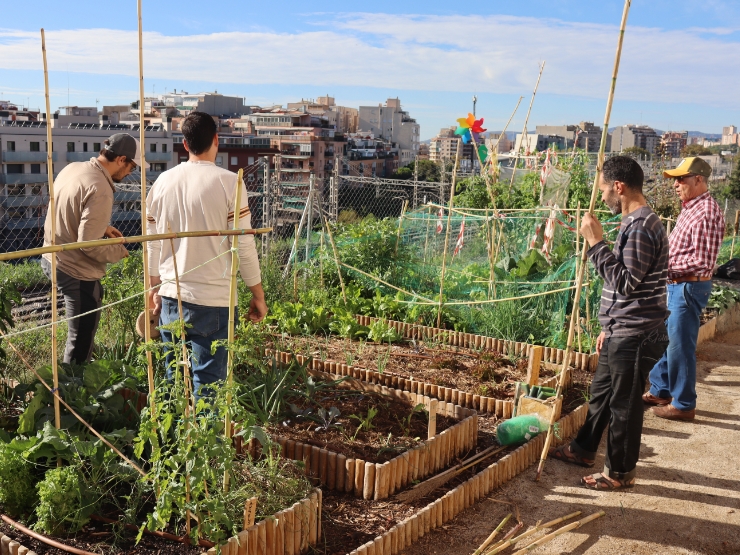 Usuaris de l'Hort La Florida (L'Hospitalet de Llobregat)