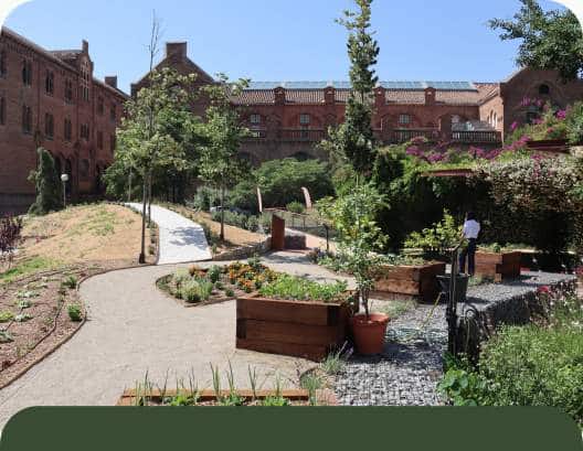 El nostre hort urbà de Sant Martí